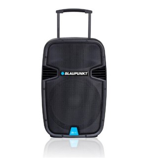 Blaupunkt Profesionalny System Audio PA15