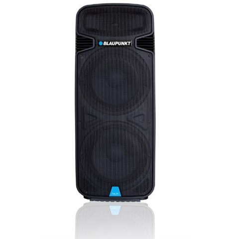Blaupunkt Profesionalny System Audio PA25
