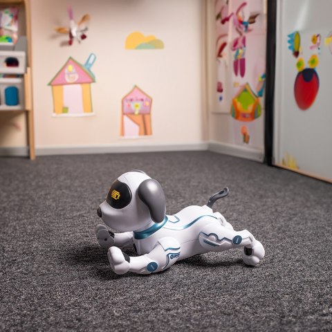 Maxlife pies zdalnie sterowany MXRD-100 biały