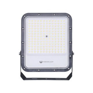 Naświetlacz LED PROXIM+ 100W 6500K 15000lm 230V IP65 Forever Light 150lm/W 5 lat gwarancji