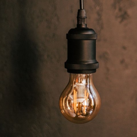 Żarówka LED Filament E27 A60 4W 230V 2200K 400lm COG złota Forever Light