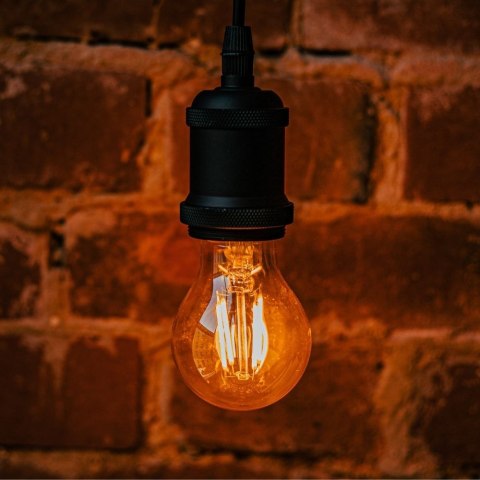 Żarówka LED Filament E27 A60 4W 230V 2200K 400lm COG złota Forever Light