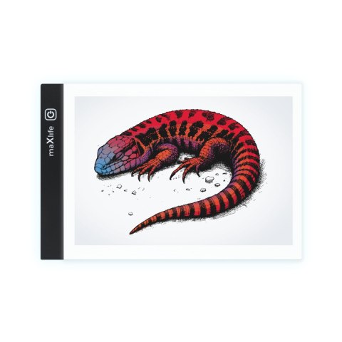 Maxlife podświetlana tablica LED MXGT-01 do odrysowywania