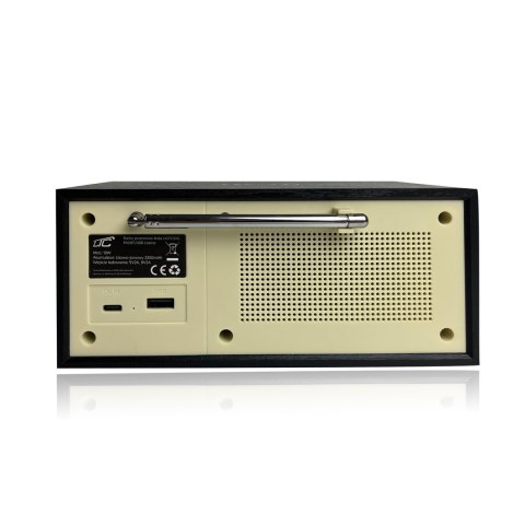 LTC przenośne radio BRDA, Bluetooth, FM, USB, 2200mAh, 10W ładowanie indukcyjne, czarno-złote