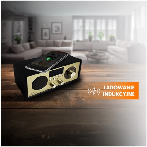 LTC przenośne radio BRDA, Bluetooth, FM, USB, 2200mAh, 10W ładowanie indukcyjne, czarno-złote